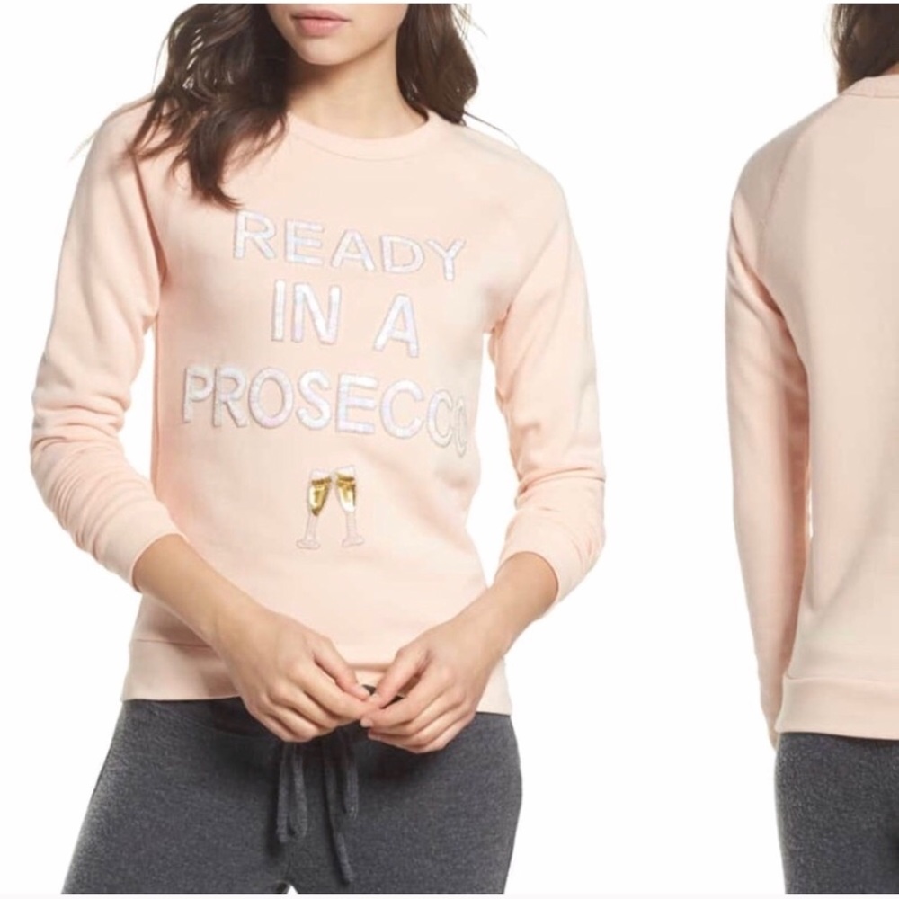TODAY ONLY Bow & Drape Prosecco Pink Sweatshirt